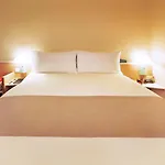 Ibis