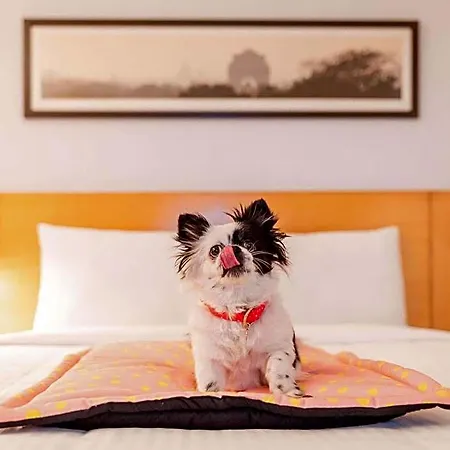 Ibis 3*